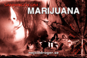 Sanningen om marijuana